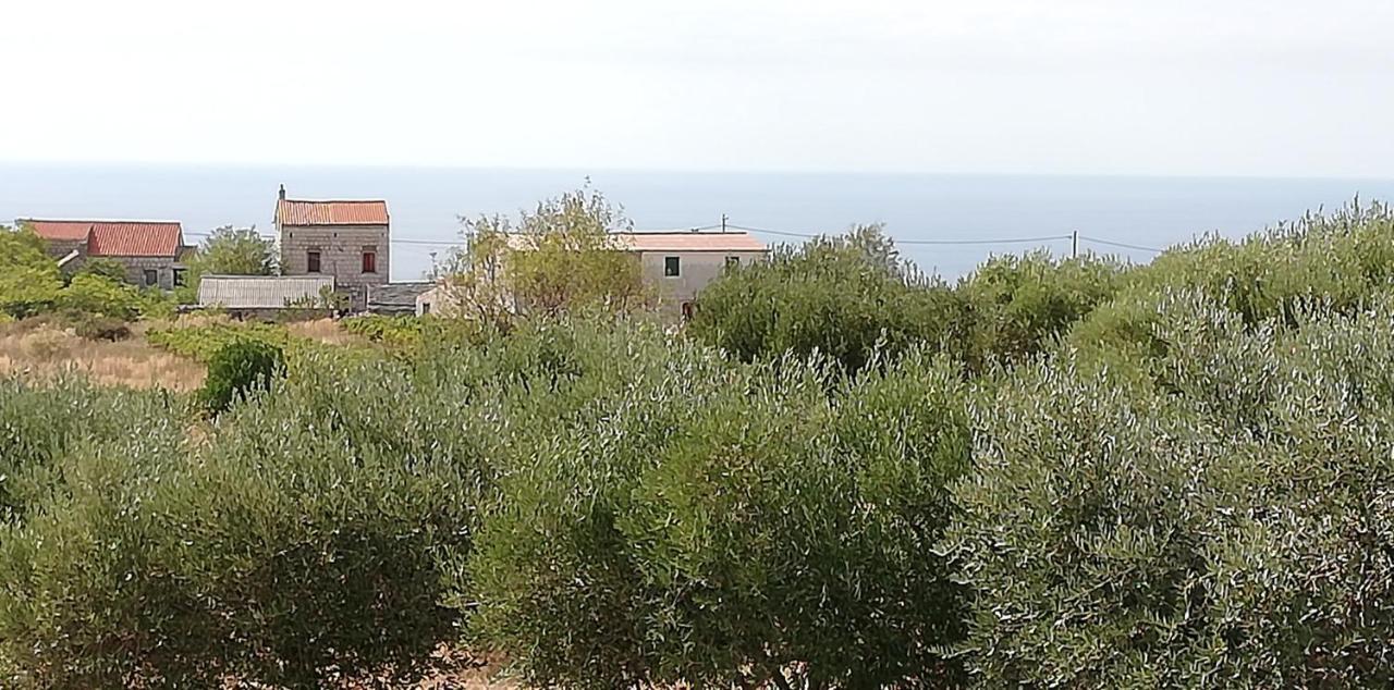 Holiday Home Burba Komiza Bagian luar foto
